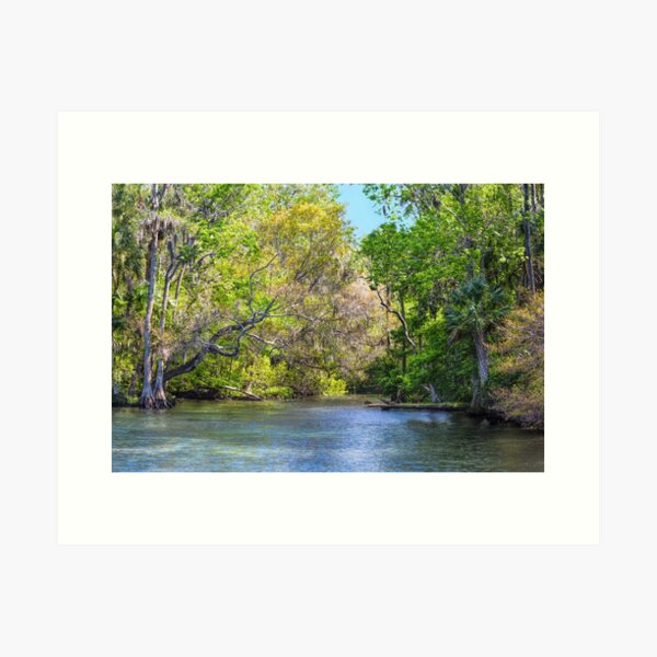 Item preview, Chassahowitzka River designed and sold by John Bailey.