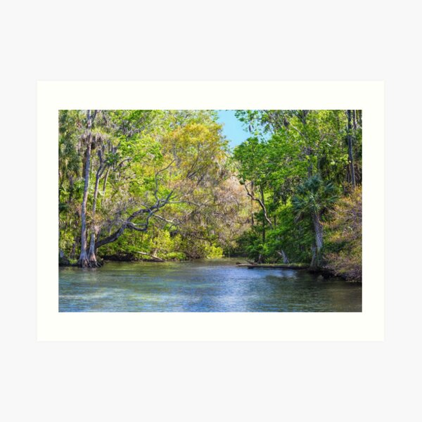 Chassahowitzka River Art Print