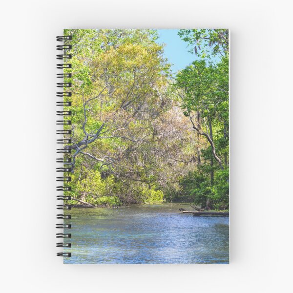 Item preview, Chassahowitzka River designed and sold by John Bailey.