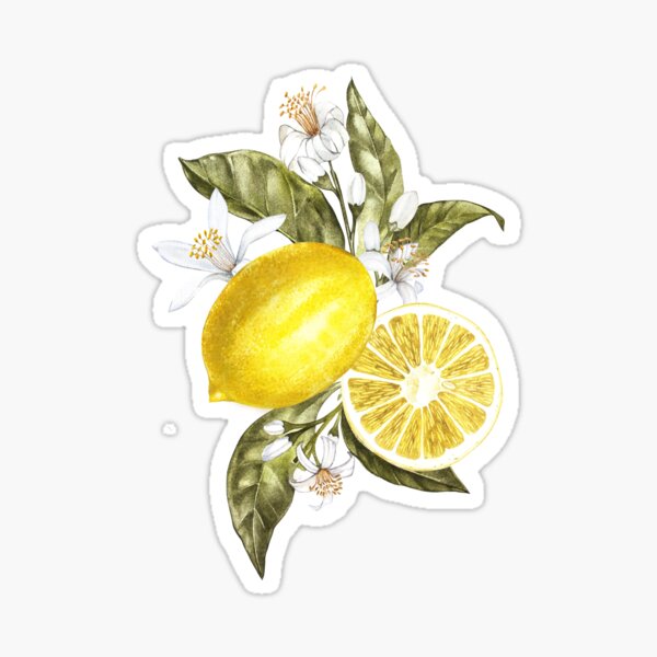 Lemon and plant pattern Sticker