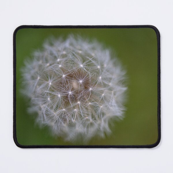 Item preview, Dandelion designed and sold by OskiOnTour.