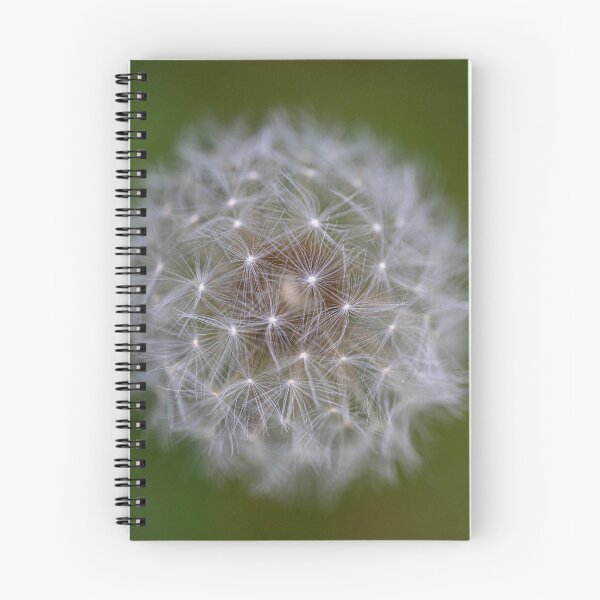 Item preview, Dandelion designed and sold by OskiOnTour.