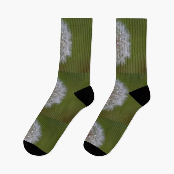 Item preview, Dandelion designed and sold by OskiOnTour.