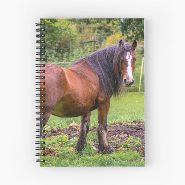 Item preview, horse in pasture designed and sold by Thomas Kösling.