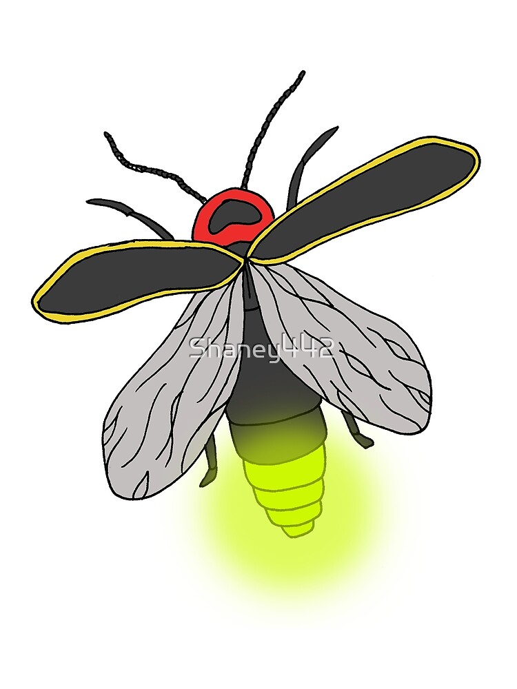 lightning bug shirt