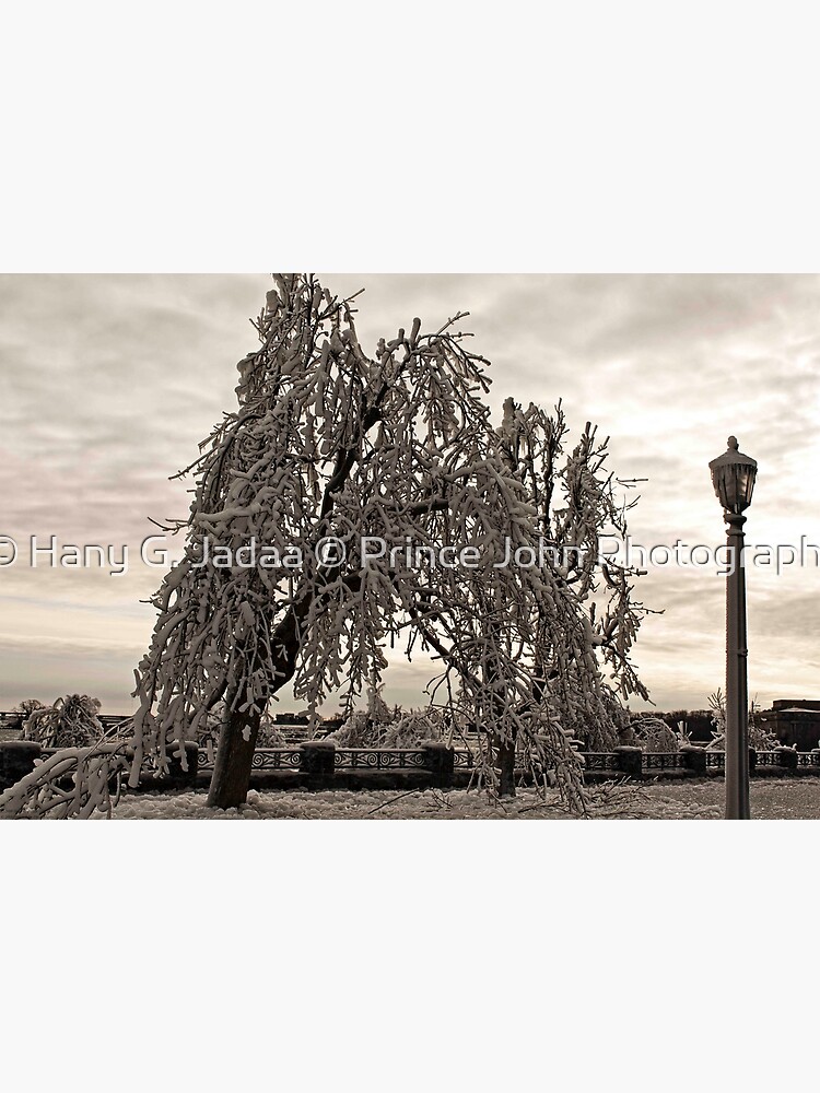 "Frozen In Time 4 The Final Post © " Poster by PrinceJohn Redbubble