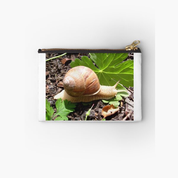 Item preview, Play snail..... designed and sold by Ana Belaj.