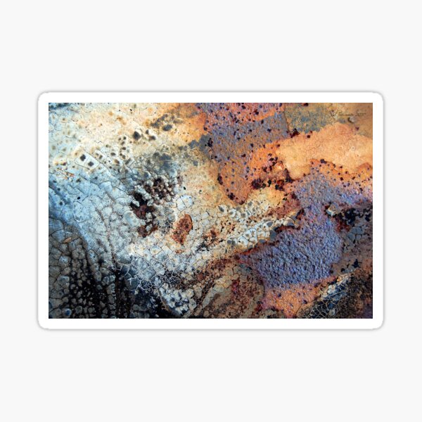 The Paw Print Sticker