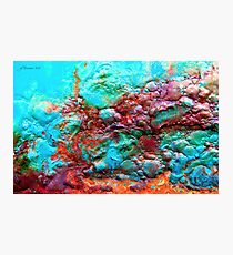 Fantasea Photographic Print