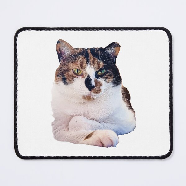 Item preview, My Calico Cat designed and sold by mary02.