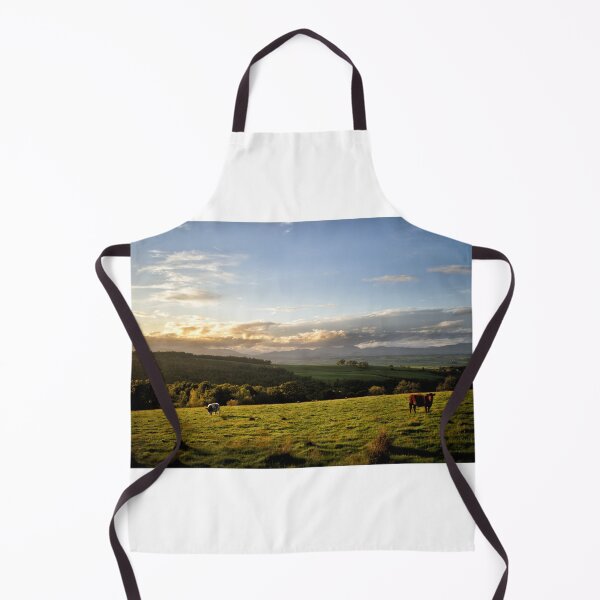 Item preview, Cattle graze during a sunset looking towards the Trossachs, Scotland designed and sold by Richard Flint.