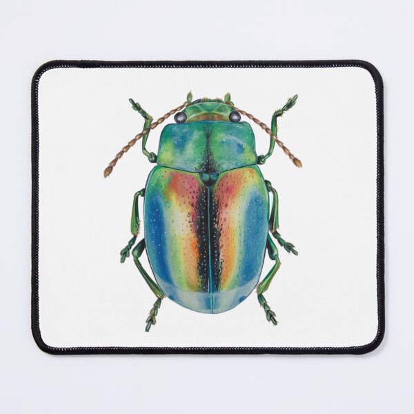 Item preview, colorful beetle, realistic bug, shimmering colors, beautiful insect designed and sold by Rebekka Schönefuß.