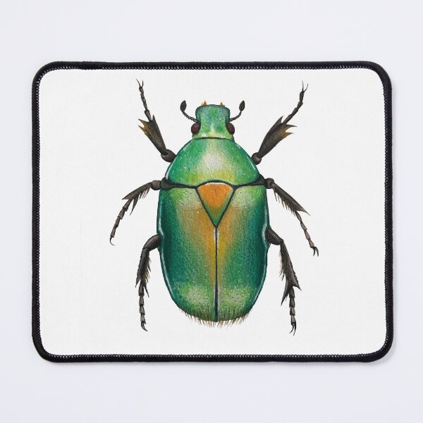 Item preview, Colorful green beetle, realistic bug, shimmering colors, beautiful insect designed and sold by Rebekka Schönefuß.