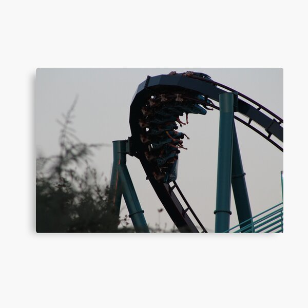 Mako at Seaworld Orlando Canvas Print
