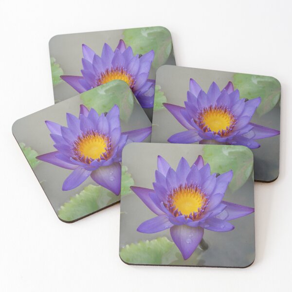 Item preview, Purple lotus flowers blooming designed and sold by March Rider.