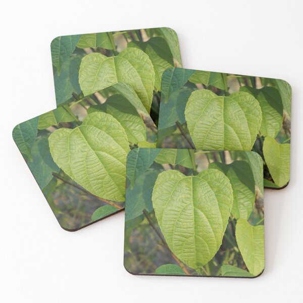 Item preview, inca star leaf designed and sold by March Rider.
