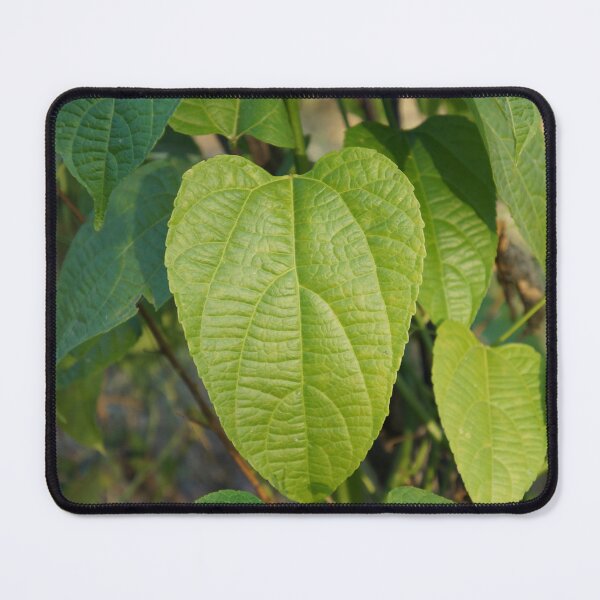 Item preview, inca star leaf designed and sold by March Rider.