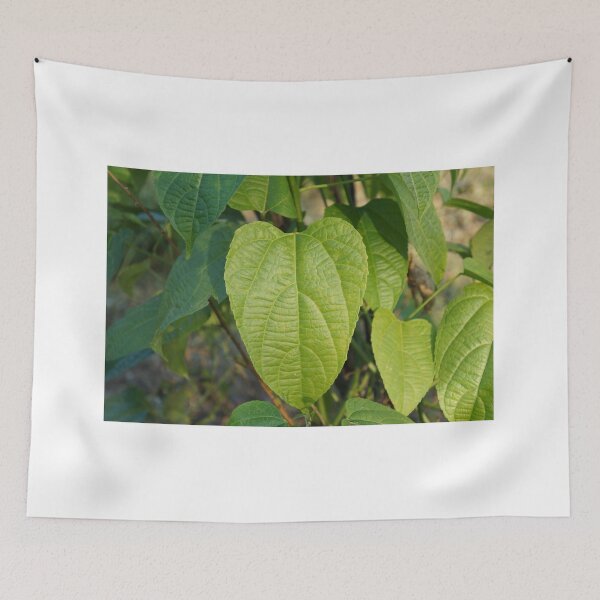 Item preview, inca star leaf designed and sold by March Rider.