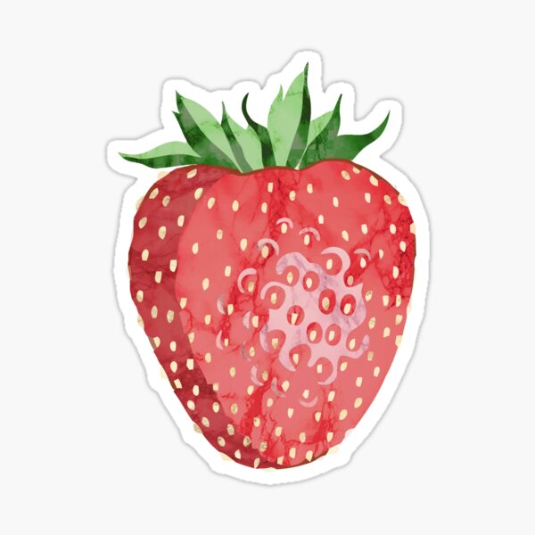 STICKERS x 10 STRAWBERRY Stickers CUTE! Sas Strawberries Sticker ST1