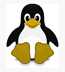 Tux Linux Photographic Print