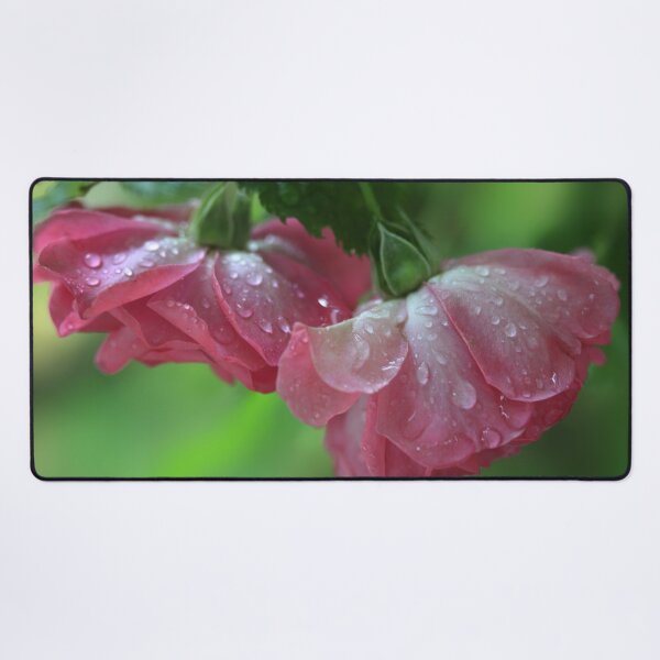 Item preview, Pink roses in summer garden designed and sold by olena2552.