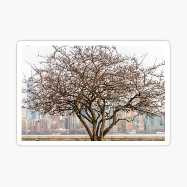 Item preview, Bare Tree with Manhattan, New York City in Background designed and sold by ieronymos.