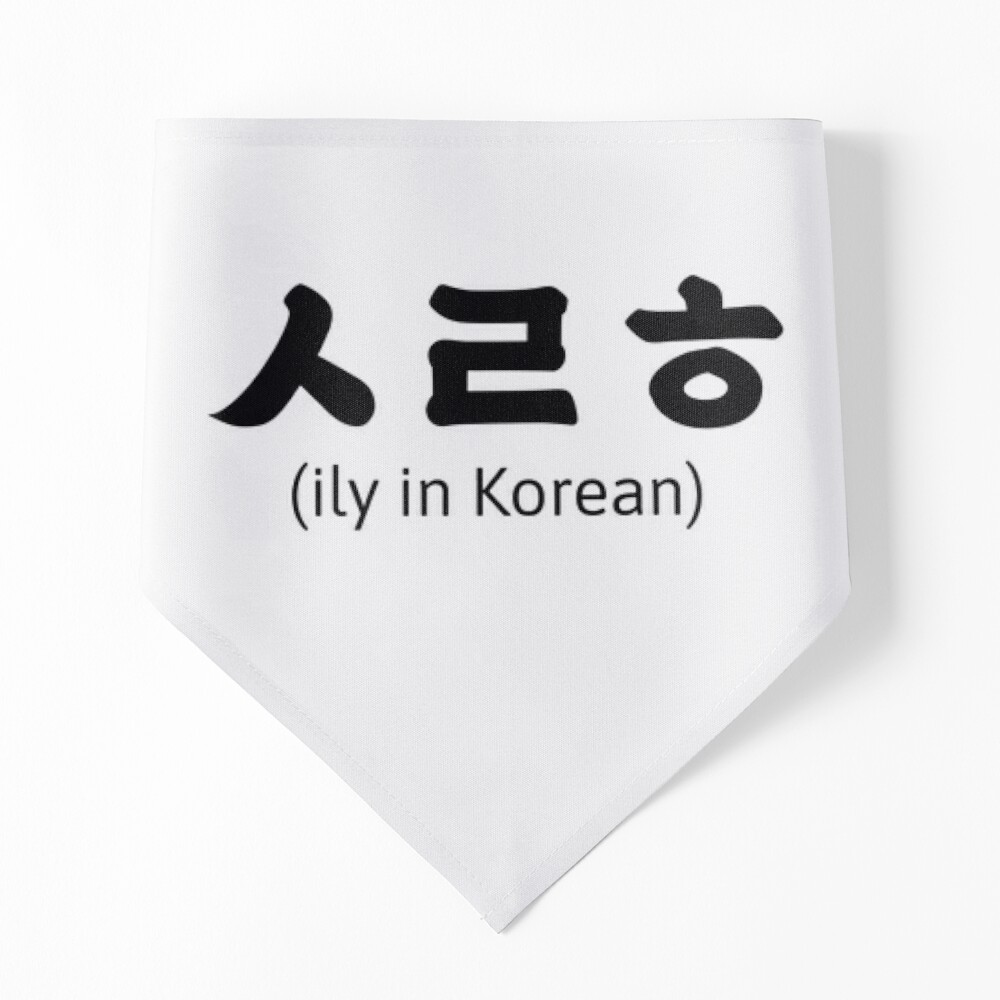 ㅅㄹㅎ ily in Korean Hangul - Saranghae