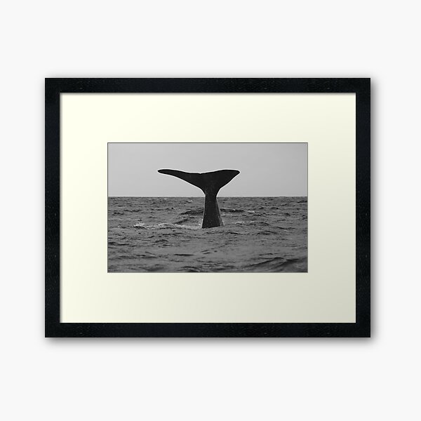 Item preview, Sperm Whale Fluke designed and sold by MaggiePixel.