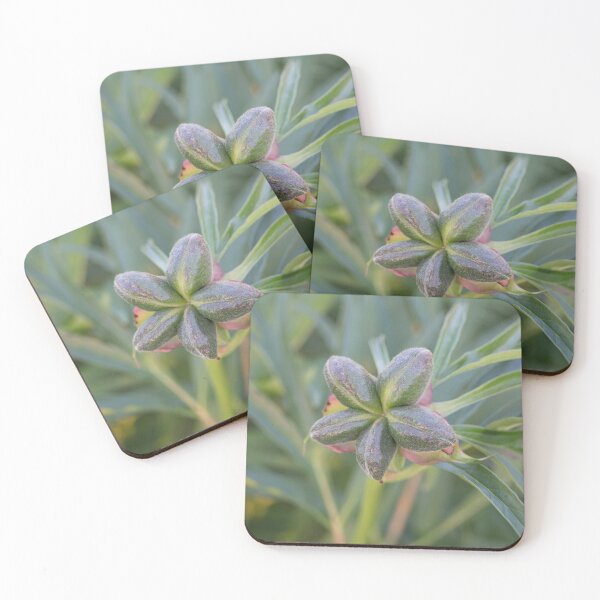 Item preview, Peonies no longer bloom designed and sold by Edward Nekrasov.