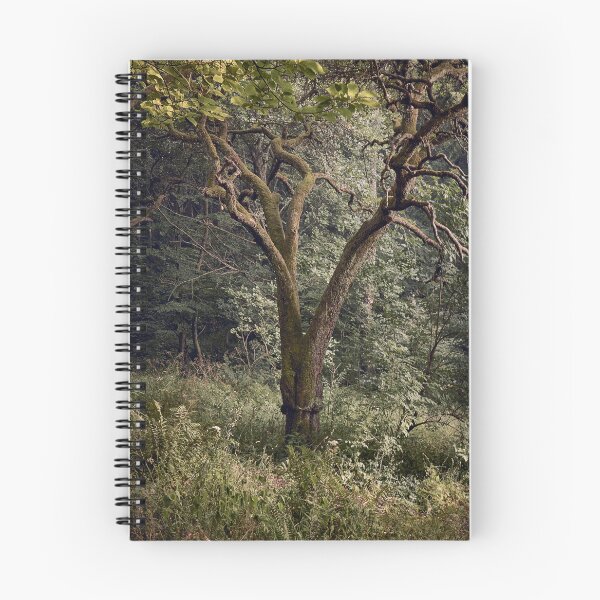 Item preview, Bettws, Abergavenny, South Wales designed and sold by Ian Flindt.