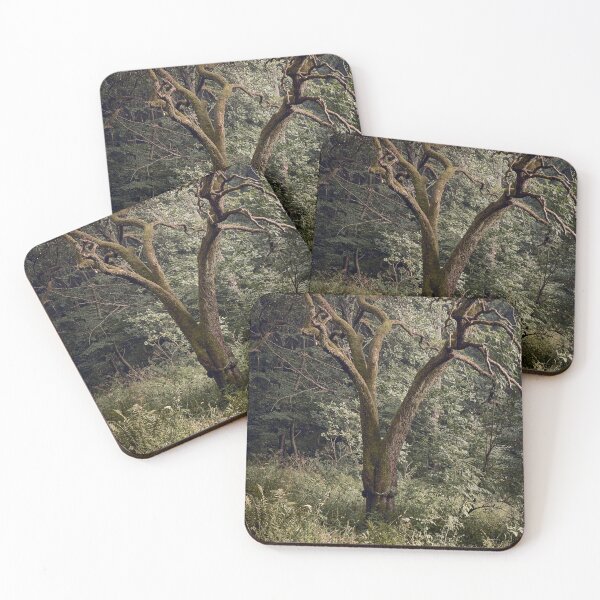 Item preview, Bettws, Abergavenny, South Wales designed and sold by Ian Flindt.