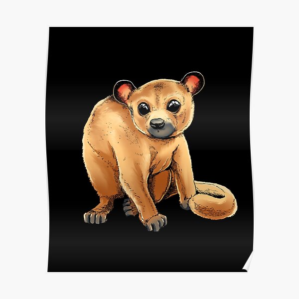 Kinkajou Poster