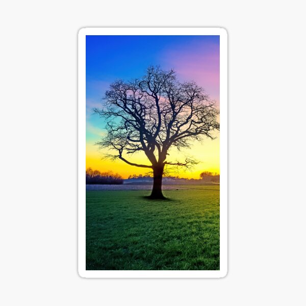 Item preview, Early Morning Tree designed and sold by muniralawi.
