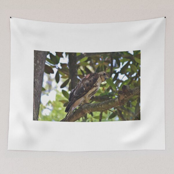 Item preview, People Watching Hawk designed and sold by Cynthia48.