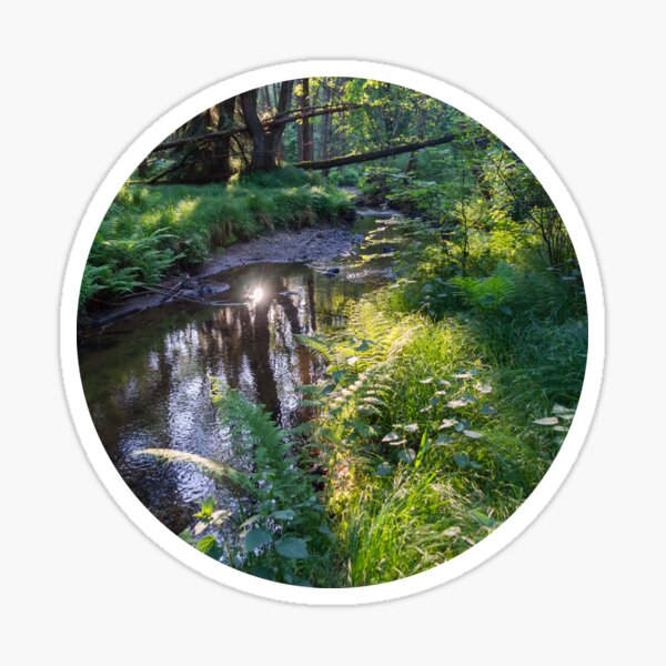 Relaxing ambience on the river bank Sticker