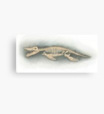 kronosaurus skeleton Canvas Print