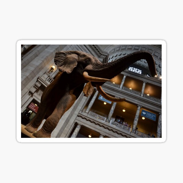 Item preview, The Smithsonian's Natural History Museum - Fénykövi Elephant designed and sold by Matsumoto.