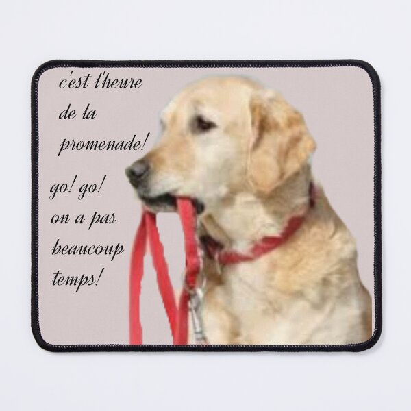 Item preview, The dog asking for a walk. designed and sold by Karine Dupras.