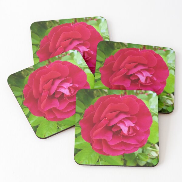 Item preview, Red rose, gardening  designed and sold by MariDaniArt.