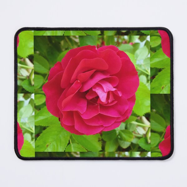 Item preview, Red rose, gardening designed and sold by MariDaniArt.