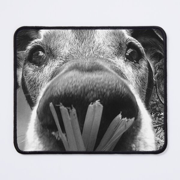 Item preview, JANGO designed and sold by damek.