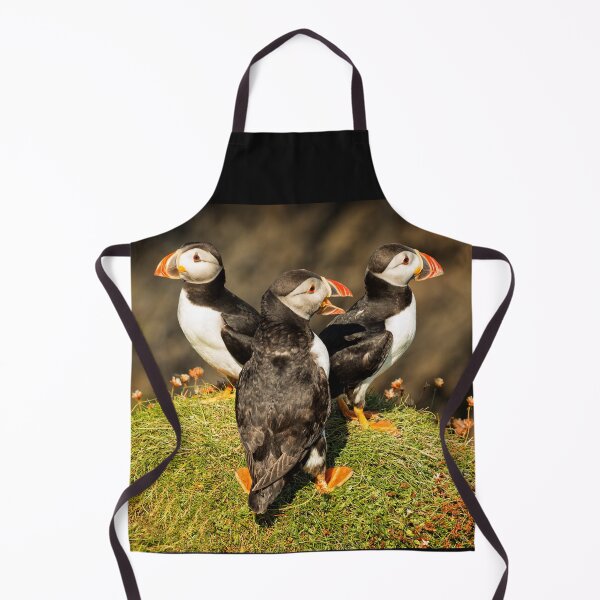 Item preview, Staffa Puffin Trio, Inner Hebrides, Scotland. designed and sold by PhotosEcosse.