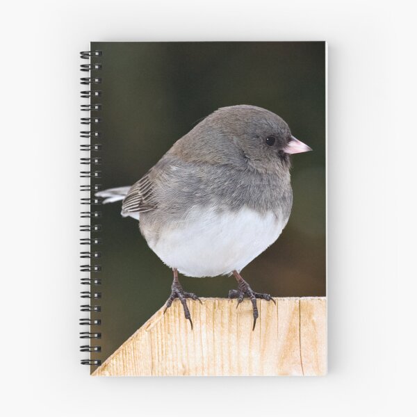 Item preview, Junco designed and sold by Yannik Hay.
