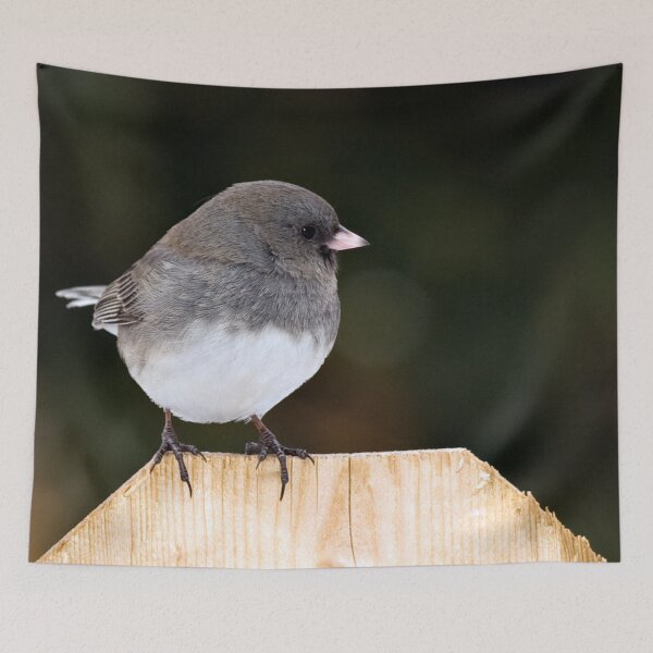 Item preview, Junco designed and sold by Yannik Hay.