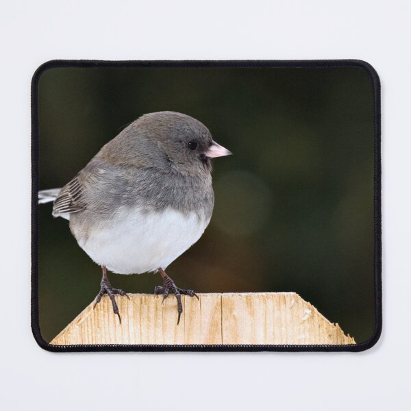 Item preview, Junco designed and sold by Yannik Hay.