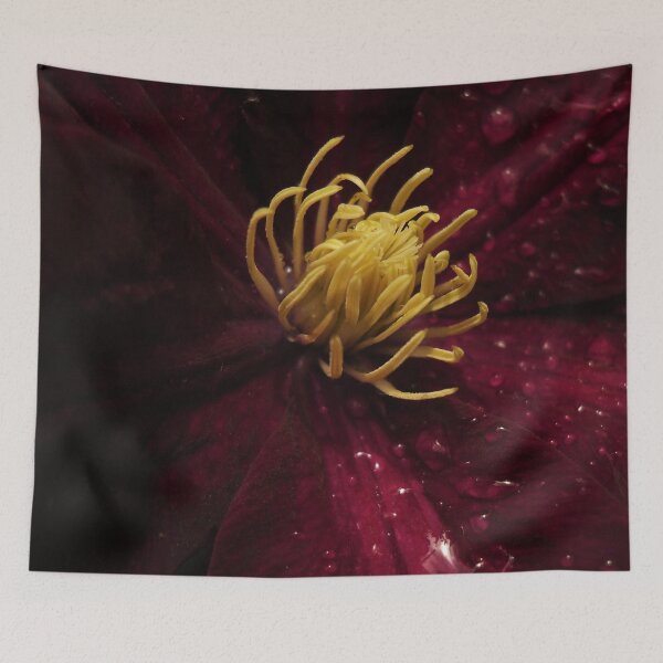 Item preview.