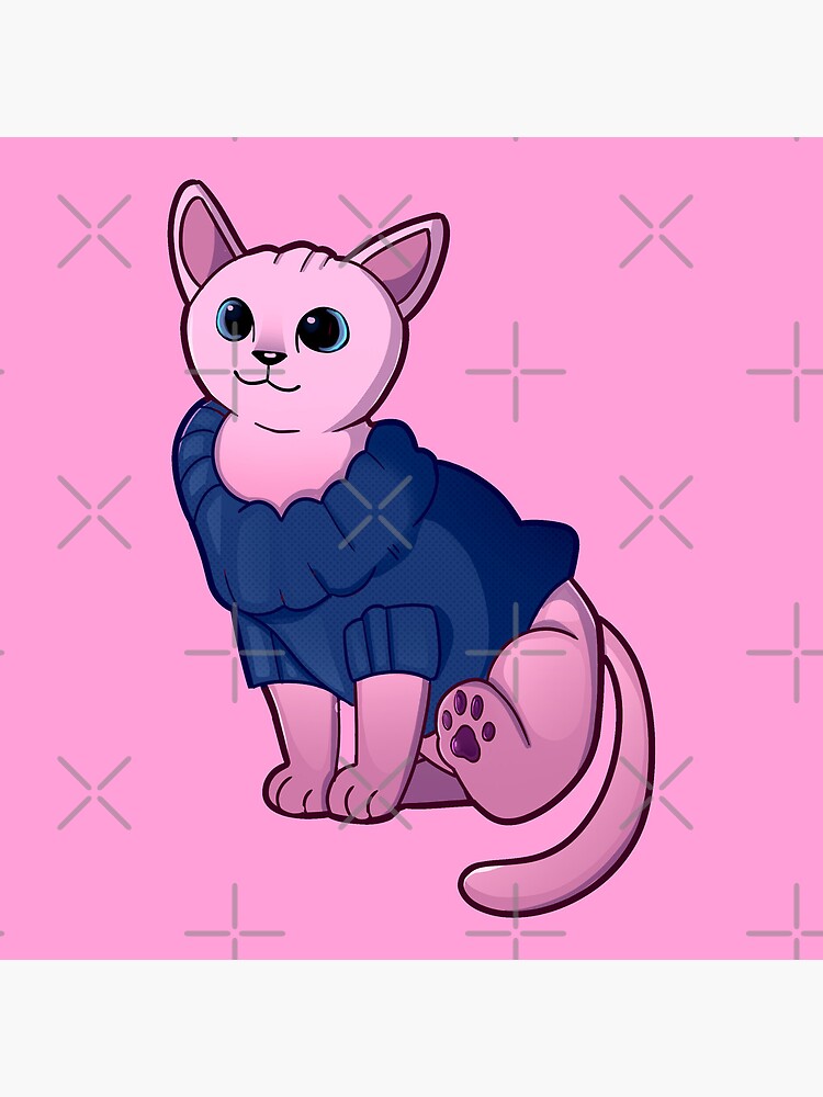 "Bingus Sweater Sphynx Cat, Praise bingus meme and Cute hairless cat