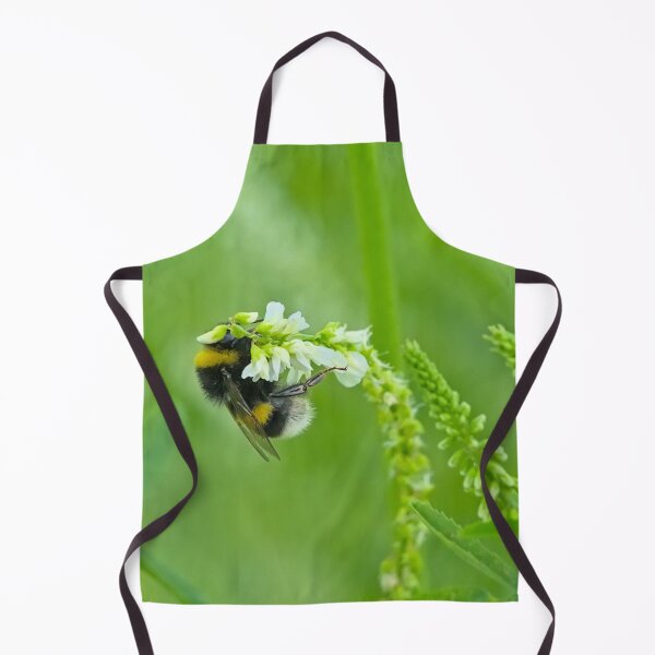 Item preview, Bumblebee on a white sweetclover flower designed and sold by xophotography.