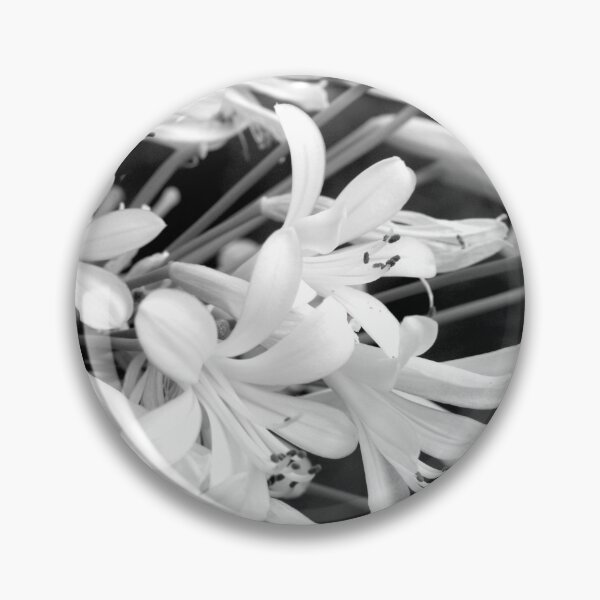 Item preview, Spray in Black and White designed and sold by MooseDogPhotos.