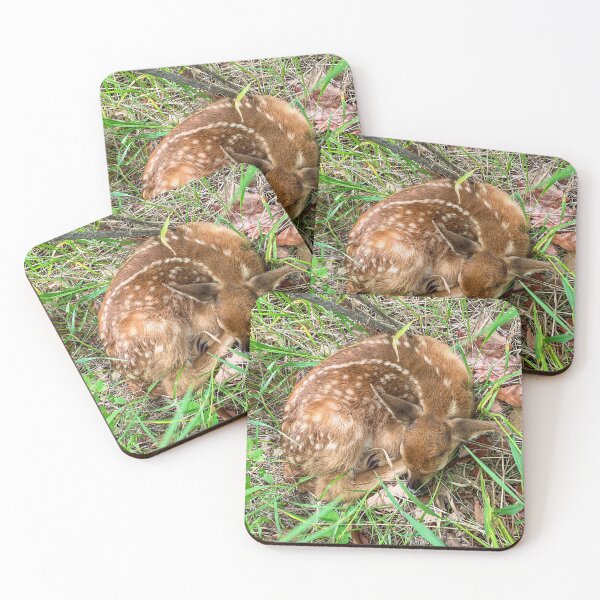 Item preview, Peaceful Fawn  designed and sold by Alison Meyer Photography.